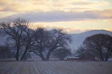 Multiple Grand Valley Photos