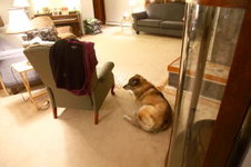 Enlarge photo 11