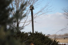 Enlarge photo 22