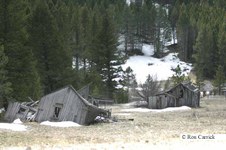 Enlarge photo 71