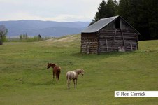Enlarge photo 69