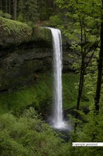 Enlarge photo 46