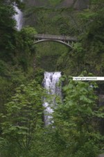 Enlarge photo 78