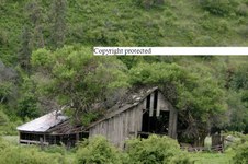 Enlarge photo 93