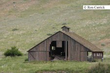 Enlarge photo 67