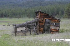 Enlarge photo 25