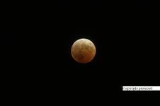 Enlarge photo 42
