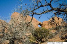 Enlarge photo 81