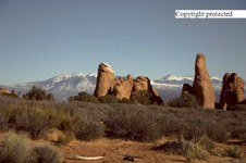 Enlarge photo 83