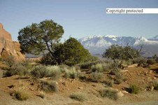 Enlarge photo 74