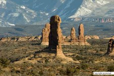 Enlarge photo 65