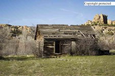 Enlarge photo 96