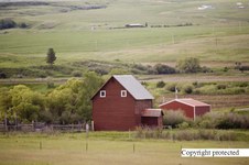 Enlarge photo 97