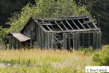Enlarge photo 104