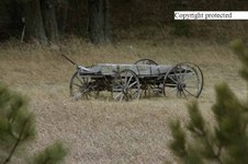 Enlarge photo 98