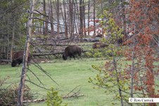 Enlarge photo 19