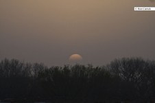 Enlarge photo 86