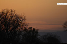 Enlarge photo 88