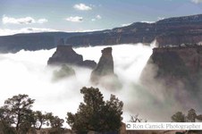 Enlarge photo 110
