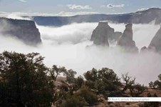 Enlarge photo 111