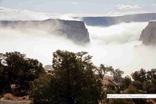 Enlarge photo 112