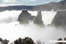 Enlarge photo 113