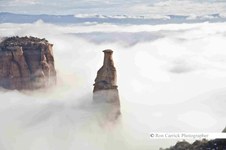 Enlarge photo 114