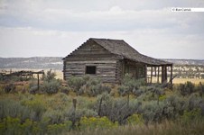 Enlarge photo 75