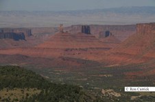 Enlarge photo 21