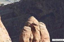 Enlarge photo 115