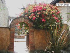 Enlarge photo 31