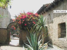 Enlarge photo 82