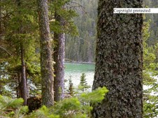 Enlarge photo 51