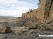 Enlarge photo 59
