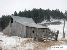 Enlarge photo 102