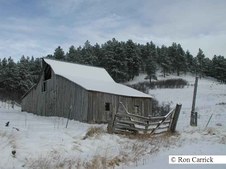 Enlarge photo 103