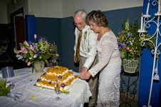 Enlarge photo 263