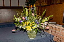 Enlarge photo 370