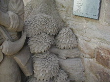 Enlarge photo 46