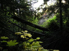 Enlarge photo 32