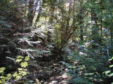 Enlarge photo 34