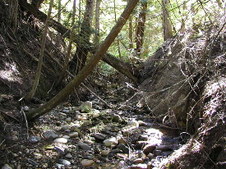 Enlarge photo 35