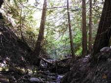 Enlarge photo 36
