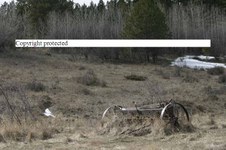 Enlarge photo 60