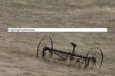Enlarge photo 52