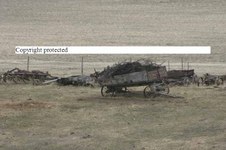 Enlarge photo 57
