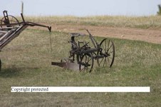 Enlarge photo 63