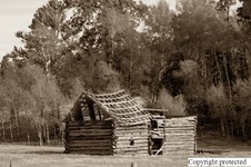 Enlarge photo 79