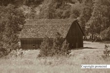 Enlarge photo 80