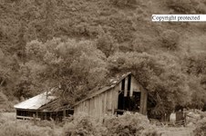 Enlarge photo 82